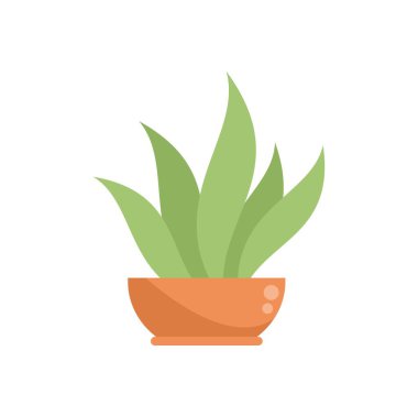 Yuvarlak bir tencerede büyüyen yeşil bitki, ev dekorasyonu, doğa ve büyüme kavramlarını temsil etmek için mükemmel.