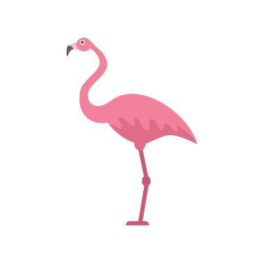 Pembe flamingo, bu tropikal kuşun minimalist vektör çiziminde tek bacağının üzerinde duruyor.
