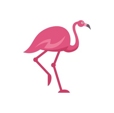 Pembe flamingo uzun bacakları ve boynu var, beyaz arka planda izole edilmiş.
