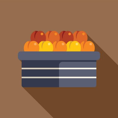 Düz tasarım, taze, olgun kayısıların vektör çizimi ve yerel bir çiftçi pazarında sepetten dökülen şeftaliler.