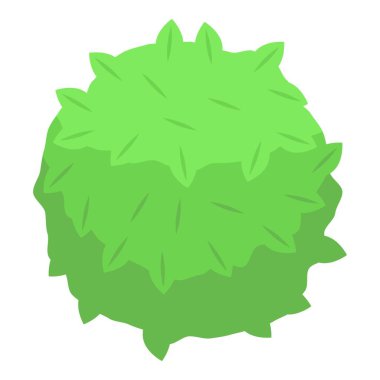 Çalı, çevre düzenlemesi ve bahçe dekorasyonunda kullanılmak üzere yeşil yapraklar yetiştiriyor.