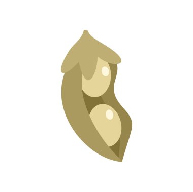 Bezelye kabuğunu aç ve beyaz arkaplanda büyüyen tohumları göster