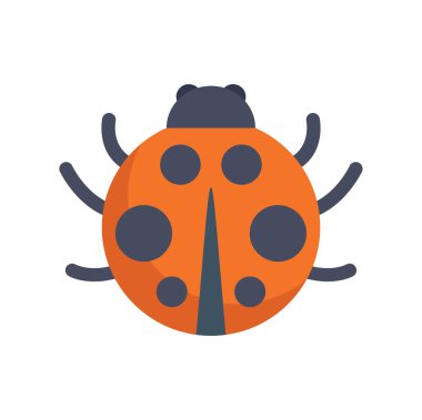 Sırtında siyah lekeler olan turuncu uğur böceği beyaz arka planda izole edilmiş.