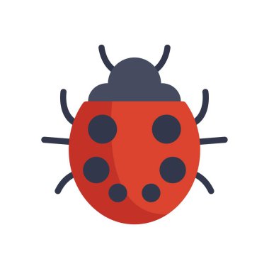 Kırmızı uğur böceği uçmak için kanatlarını açıyor.