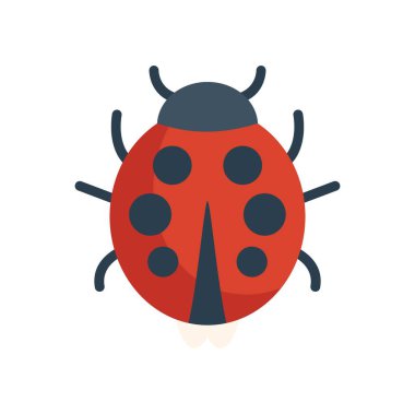 Kırmızı uğur böceği kanatlarını beyaz arkaplanda açıyor.