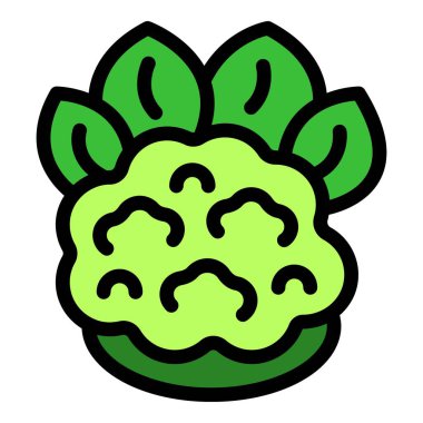 Sebze bahçesinde yaprakları yetişen yeşil karnabahar, sağlıklı besin maddeleri.