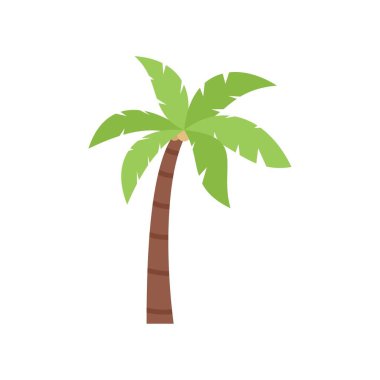 Çizgi film hindistan cevizi palmiyesi beyaz arka planda tek başına duruyor