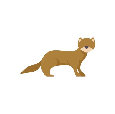 Bir gelinciğin çevresindekileri izlemesinin basit bir örneği.