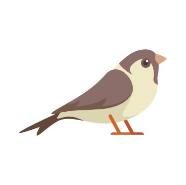 Küçük kahverengi ve bej renkli bir kuşun basit bir çizgi film çizimi yerde duruyor ve sağa bakıyor.