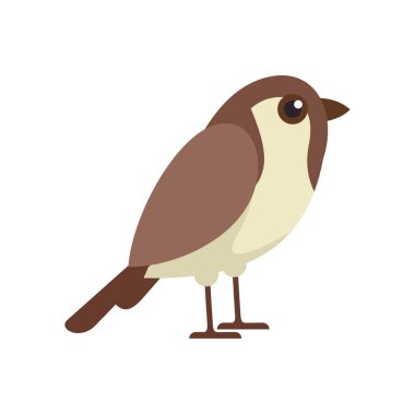 Genel kahverengi ve bej rengi bir kuşun basit bir çizgi film tarzı çizimi profilde duruyor
