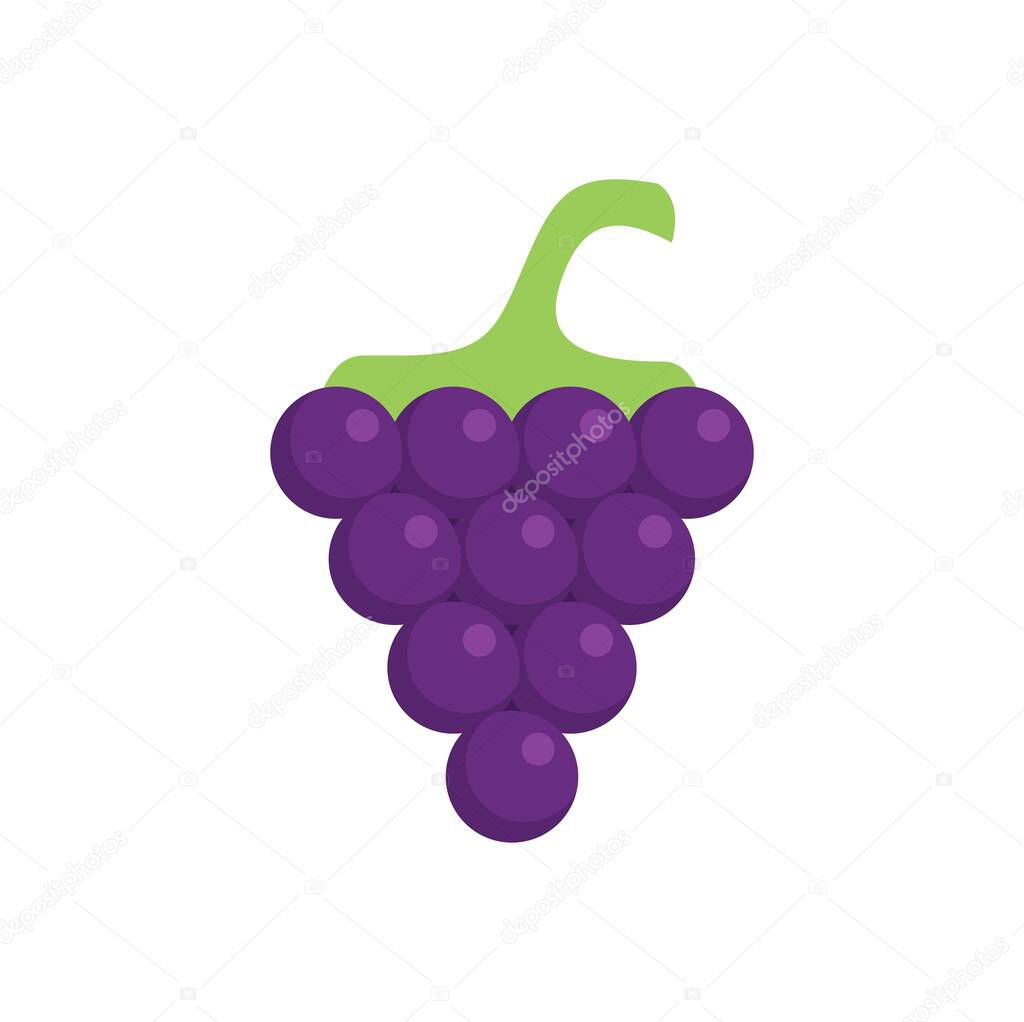 Simple vector illustration of a bunch of purple grapes hanging on the vine, isolated over white background