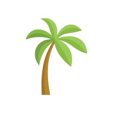 Yeşil palmiye ağacı, açık havada etrafta kimse yokken büyüyor.