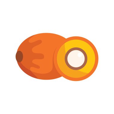 İç tohum ve posasını göstererek ikiye bölünmüş bir palmiye yağının vektör çizimi