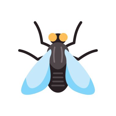 Siyah sinek kanatlarını beyaz arkaplanda açıyor.