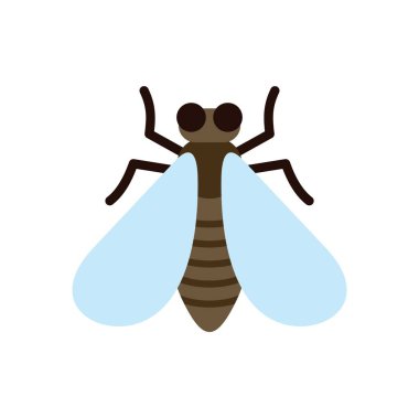 Mavi kanatlı karınca sineği kanatlarını açıyor.