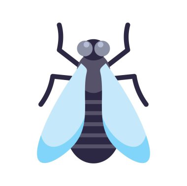 Çizgi film sineği kanatlarını çırpıyor. Dünya çapında yaygın bir böcek bulundu.