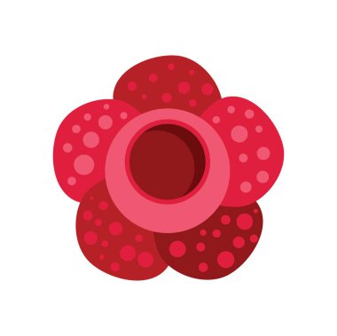 Rafflesia arnoldii flower is opening its five large petals covered with white dots clipart