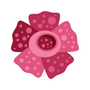 Rafflesia arnoldii çiçeği basit ve renkli bir şekilde çiçek açıyor.