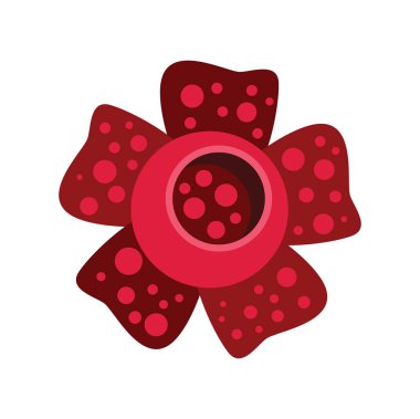 Vector illustration of a rafflesia flower blooming, showing its beauty in a flat design style clipart