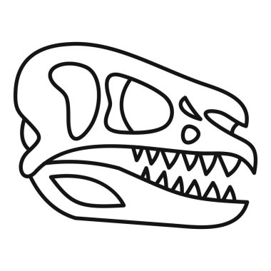 Beyaz arka planda izole edilmiş dinozor kafatası fosili keskin dişler, göz çukurları ve burun boşluğu gösteriyor.