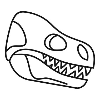 Keskin dişlerini ve göz çukurunu vurgulayan bir dinozor kafatası fosilinin yan görüntüsü paleontoloji ve tarih öncesi yaşam projeleri için mükemmel.