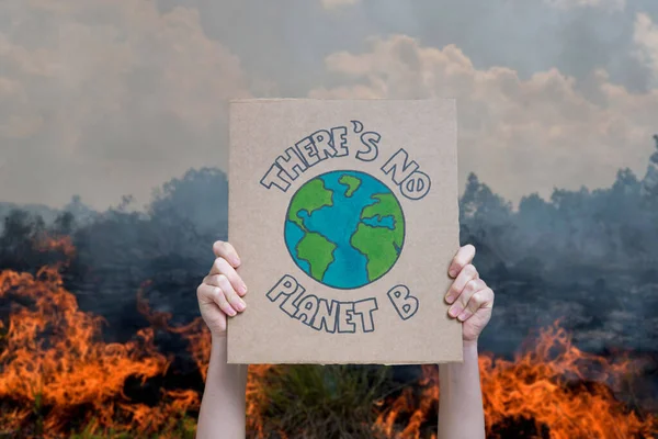 Плакат Изменении Климата Фоне Горения Леса Планеты Вырубка Лесов Уничтожение — стоковое фото