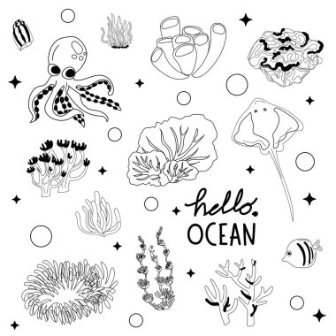 Doodle Marine Life Illustration for Kids. clipart