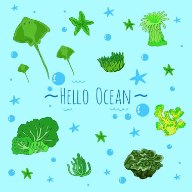 Bright and colorful illustration of various marine creatures. clipart