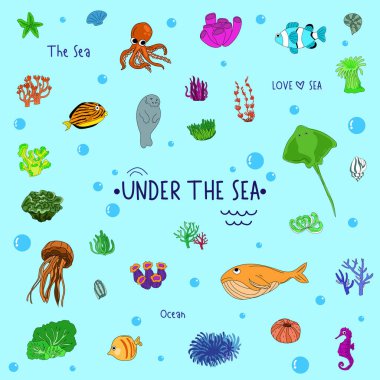 Çeşitli deniz canlılarının parlak ve renkli çizimleri.