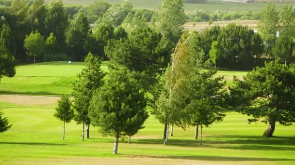 Hermoso Paisaje Campo Golf Con Árboles Fuertes Vientos Campo Golf — Vídeos de Stock