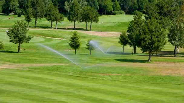 Automatic High Pressure Water Sprinkler Green Golf Course Bulgaria Watering — Stock Video