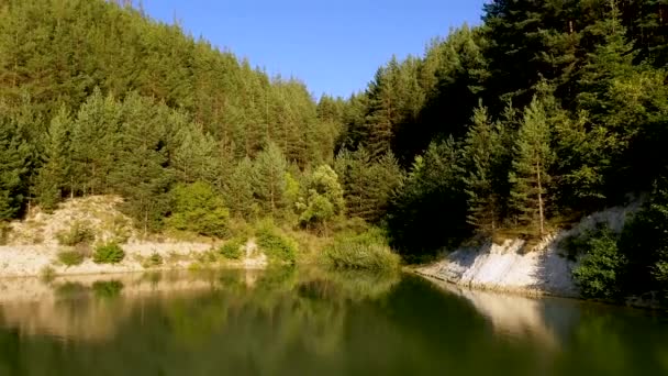 ドローンはブルガリアのビッグレイクと自然の木と森の風景を撮影しました — ストック動画