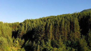 İHA, Bulgaristan 'daki Büyük Göl, doğa odunu ve ormanın manzaralı manzarasını çekti..