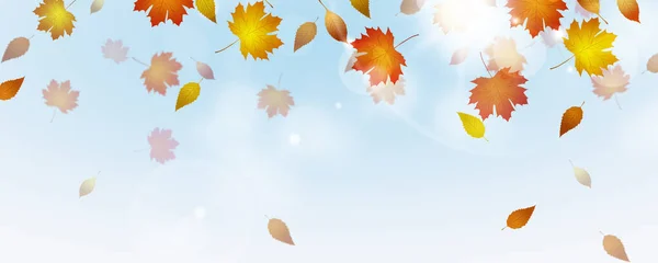 Podzimní Zlatožluté Listy Větru Slunečný Podzim Den Banner Dekorace — Stock fotografie