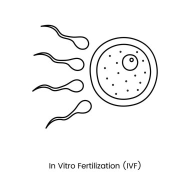 Yumurta döllenmemiş ve sperm vektör içinde bir ikon çizgi, suni döllenme illüstrasyonu. Tüp bebek, tüp bebek.
