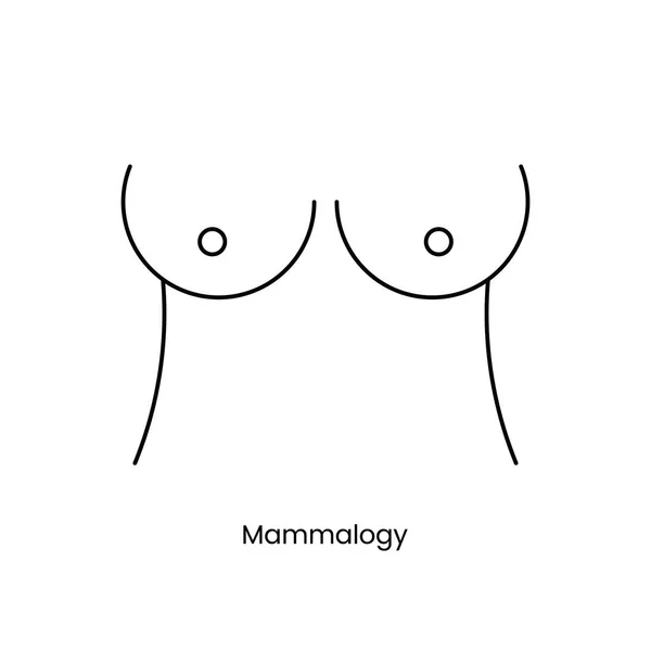 Icona Della Linea Mammologica Vettore Illustrazione Delle Ghiandole Mammarie Femminili — Vettoriale Stock