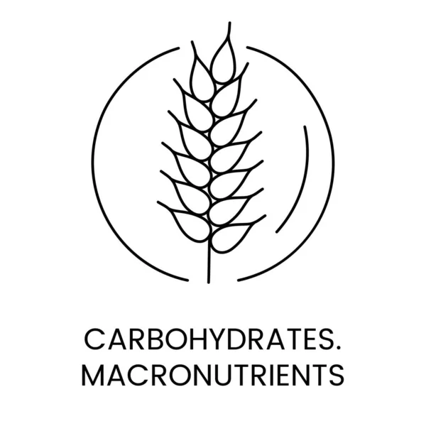 Kohlenhydrate Makronährstoffe Zeilensymbol Vektor Weizenähren Illustration — Stockvektor