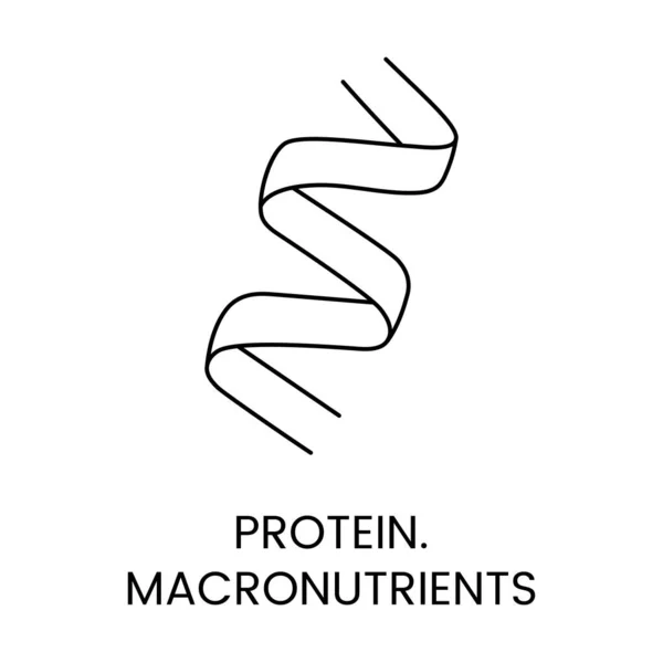 Icona Della Linea Proteica Nel Vettore Illustrazione Dei Macronutrienti — Vettoriale Stock