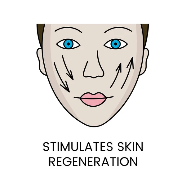 Stimuluje Regeneraci Kůže Vektoru Dívčí Tvář Ilustrace Šipkami — Stockový vektor