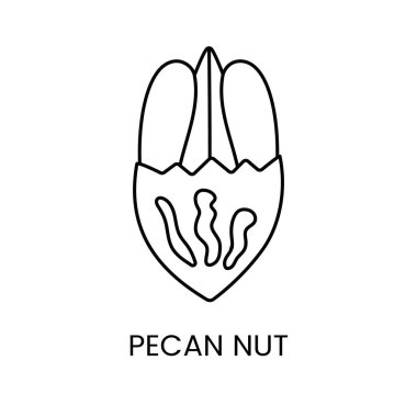 Pecan 'ın lezzetini keşfedin, nefis tadı sembolize eden büyüleyici bir çizgi vektör ikonu.