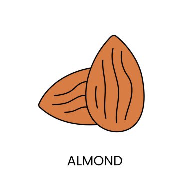 Bir bademin doğal güzelliğini gösteren güzel bir şekilde resmedilmiş vektör çizimi.