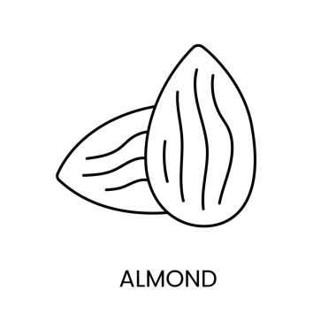 Badem basit ve şık bir çizgi simgesi. Zarif formdan esinlenilmiş..