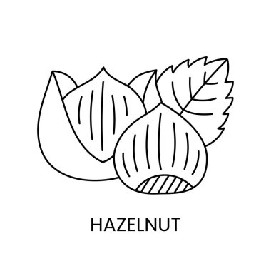 Doğal güzelliği gösteren büyüleyici bir çizgi vektör ikonu olan Fındık 'ın zarafetini keşfedin.