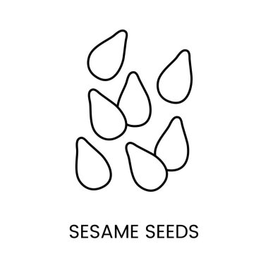 Mutfak yaratıcılığınızı Susam Tohumları 'nın doğal iyiliğiyle geliştirin. Dünyanın dört bir yanından gelen yemeklerde küçük ama etkili varlıklarını temsil eden bu gösterişsiz vektör ikonunda resmedilmiş olan tohumlar.