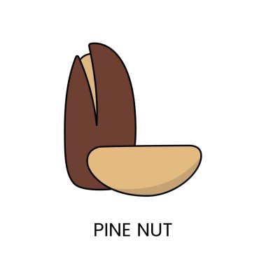 Tasarımlarınızı Pine Nut Vektör illüstrasyonuyla geliştirin, projelerinize biraz zarafet ve vahşi doğanın tadını katan görsel olarak çekici bir tasvir.