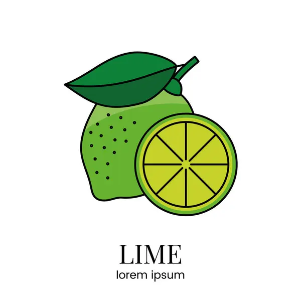 Citrusfélék Lime Vonal Ikon Vektorban Hogy Élelmiszer Csomagoláson Allergén Jelenlétéről — Stock Vector