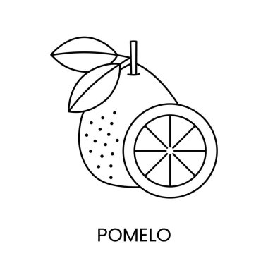 Pomelo citrus meyvesi, vektör olarak çizgi ikonu. Alerjenin varlığı hakkında gıda ambalajını belirtmek için.