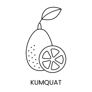 Citrus meyvesi Kumquat, bu alerjin hakkında gıda ambalajını belirtmek için vektör olarak çizgi simgesi