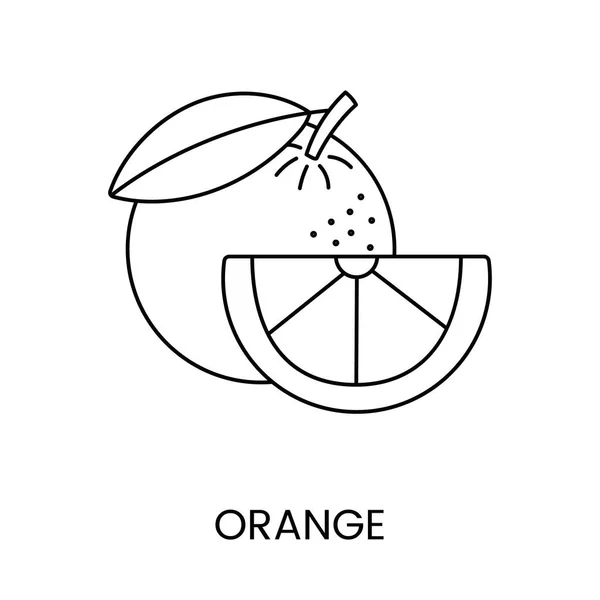 Citrus Fruits Food Allergens Illustration Set Color Vector Lemon Orange