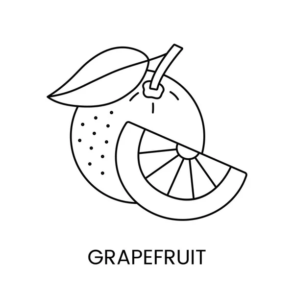 Grépfrútvektor Vonalának Ikonja Citrusfélék Ábrázolása Amelyet Csomagolásra Vonatkozó Élelmiszer Allergén — Stock Vector